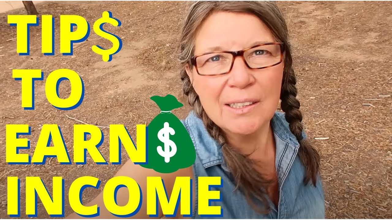 How to Make Money as a Full Time RVer