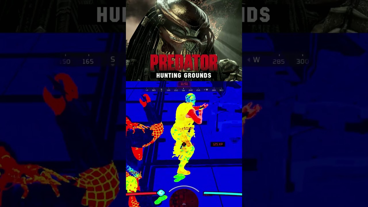 Снова нулевой урон 😂