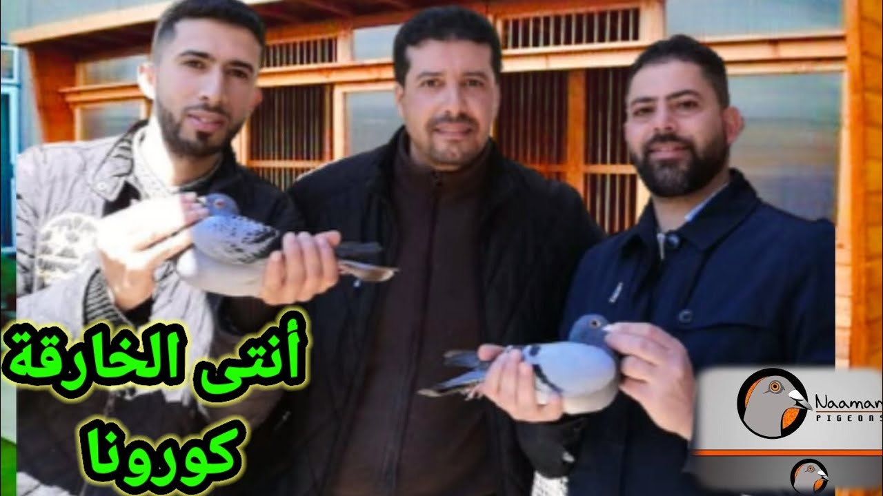 البطل الحاج نعمان مع البطل إخوان ازغود اقتناء الكوبل الدي اعطى الانتى الملقبة بكورونا