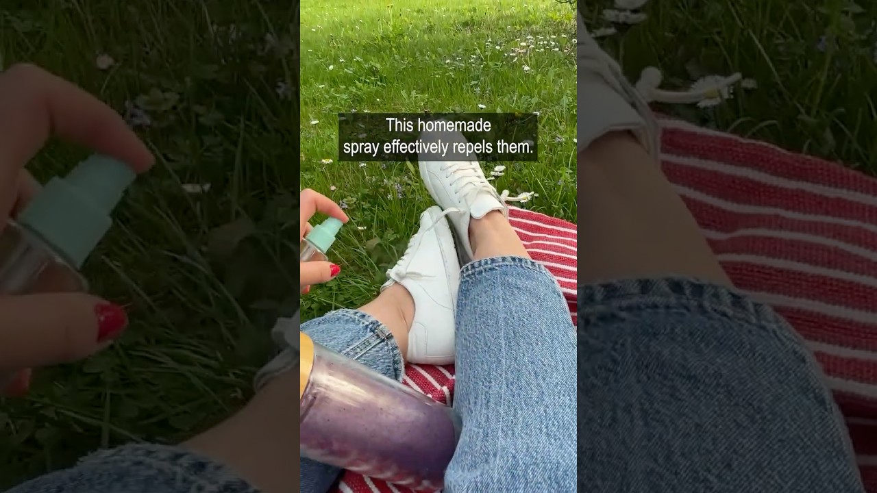 How to make a natural tick repellent spray at home