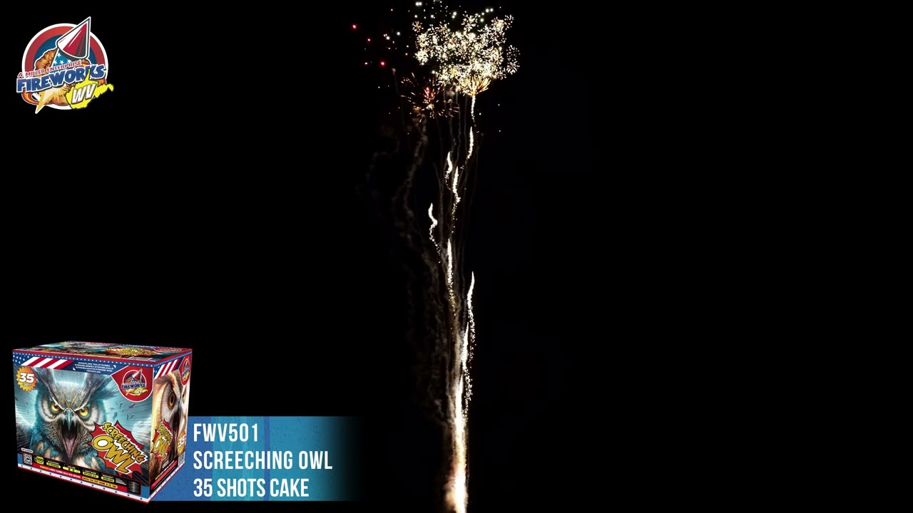 Screeching Owl 35'S by FireworksWV