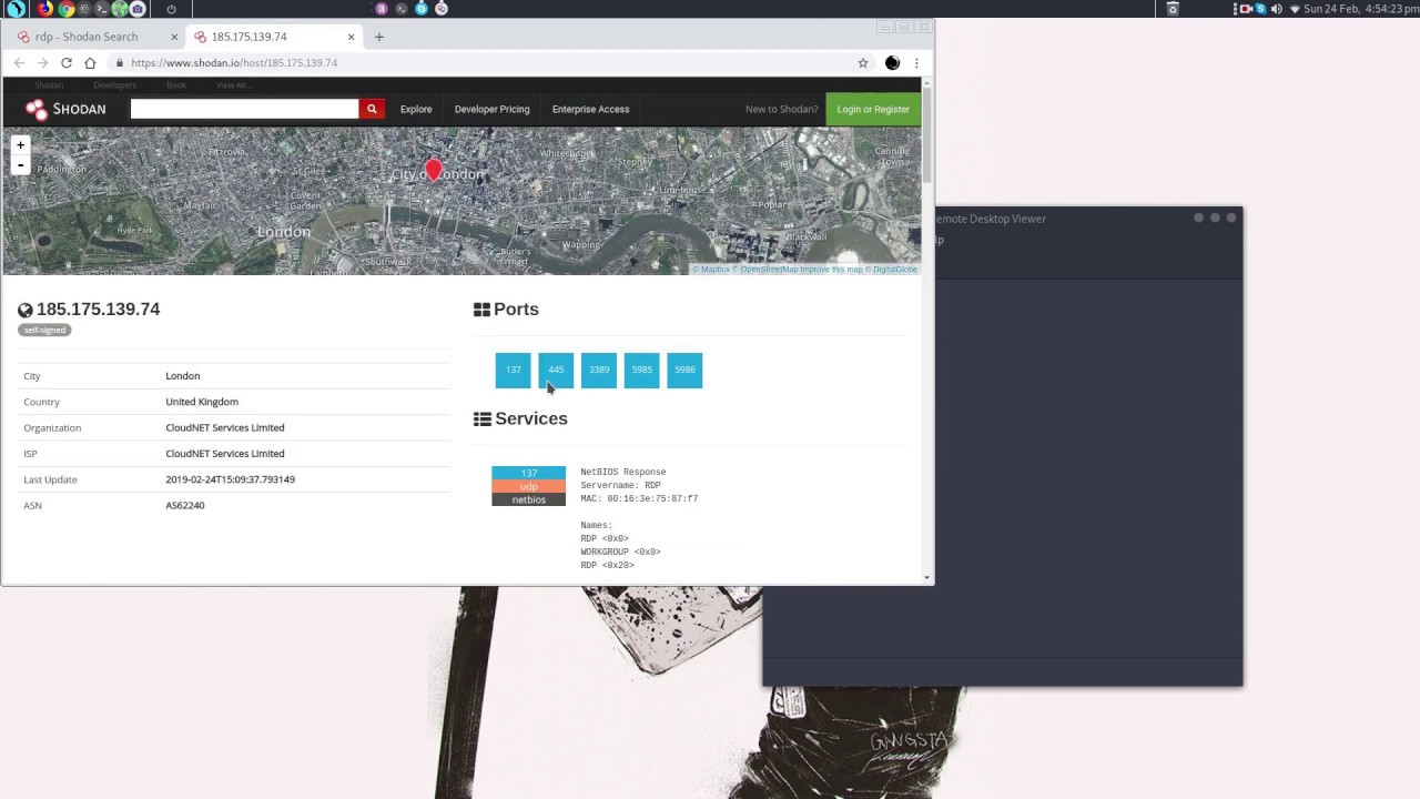 Shodan.io and Google Dorks (CCTV And RDP)