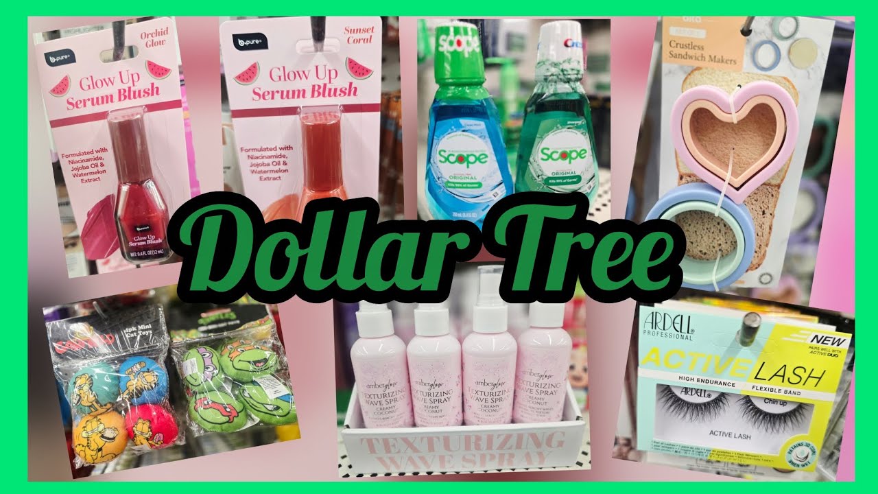 Dollar Tree Road Trip.   #dollartree #dollartreenewfinds 
