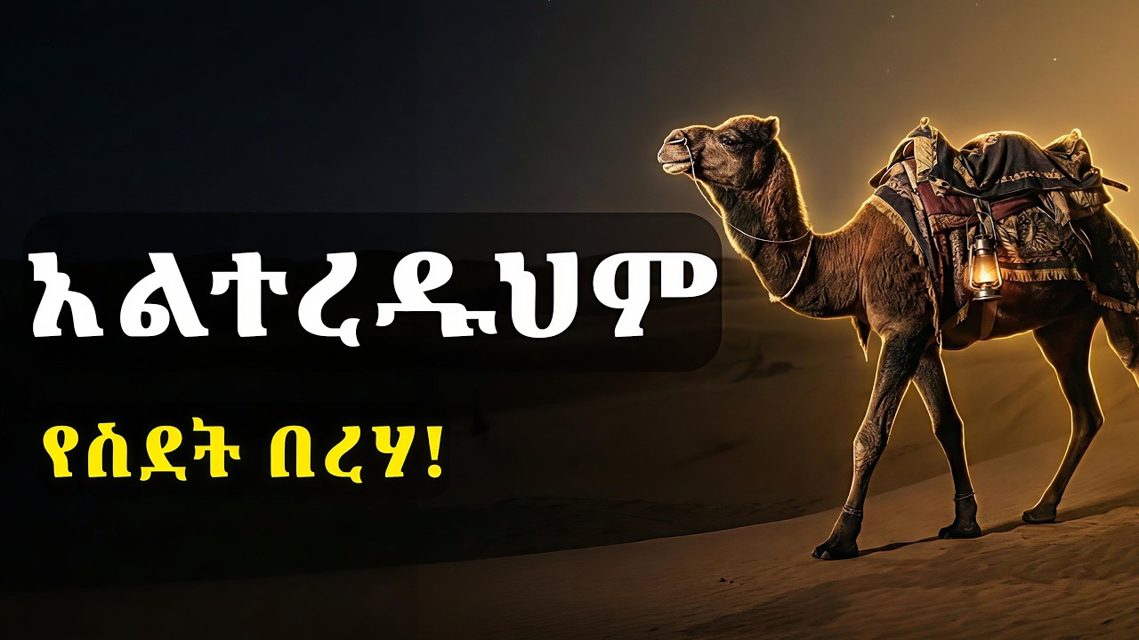 ከቤተሰብ ርቆ በብቸኝነት ኑሮን የማሸነፍ ጥበብ | የግመል አስተሳሰብ | Camel Mindset