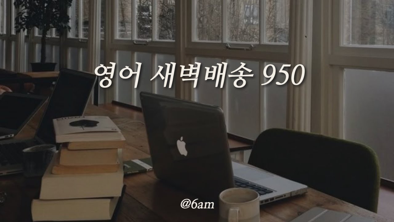💛 영어 새벽배송 950문장 역순 복습