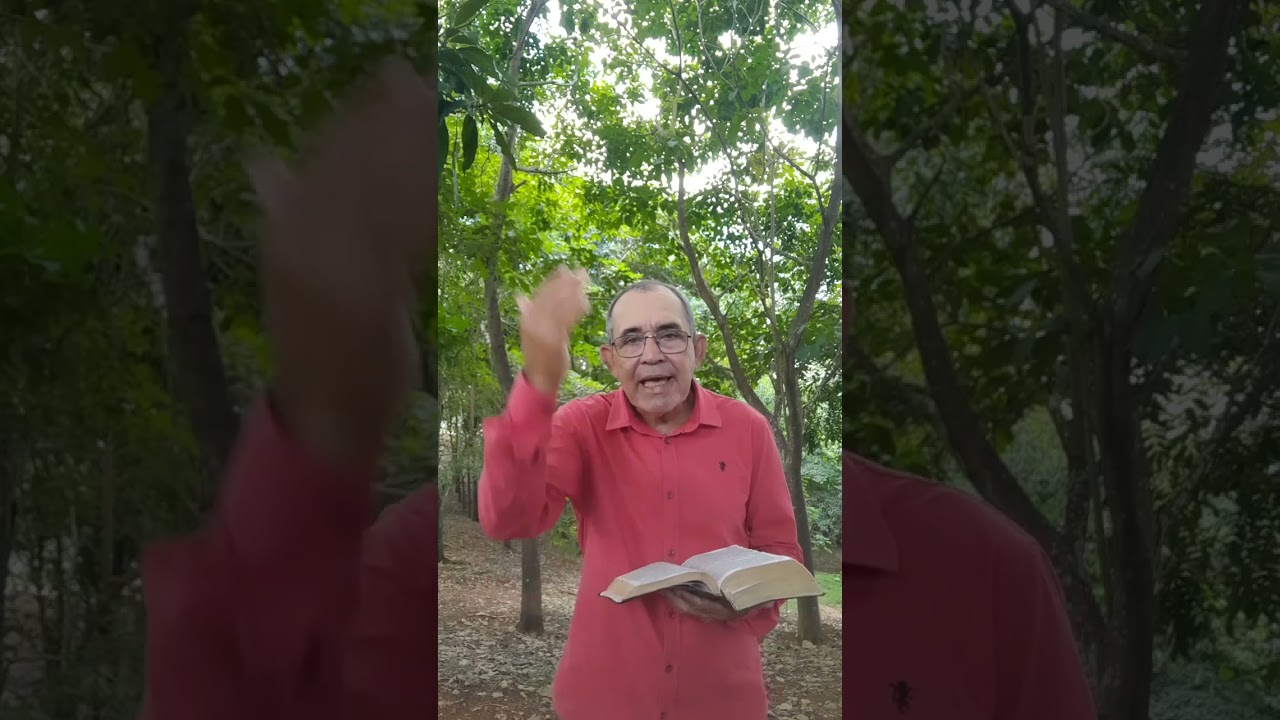 22 de fevereiro de 2026