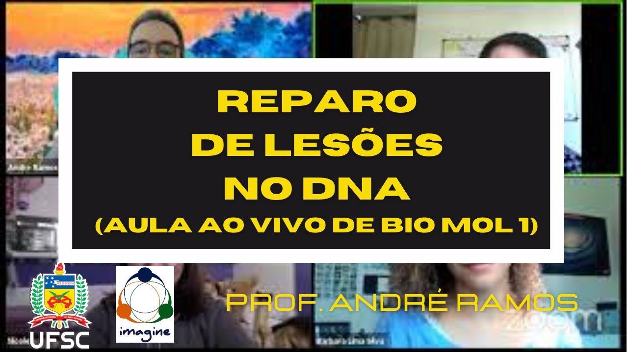 Reparo de lesões no DNA