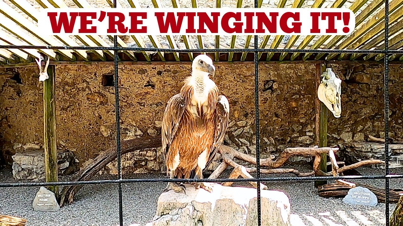 A CYCLE AROUND BEAUCENS. 'DONJON DES AIGLES'- BIRD OF PREY COLLECTION -FRENCH PYR&Eacute;N&Eacute;ES TRIP.
