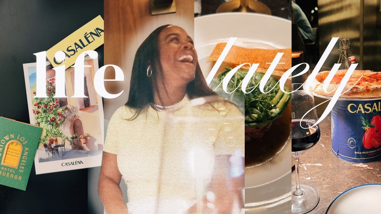 VLOG: life lately, wine & dine me, new furniture pieces, groceries for the week, helloshamarixovlog