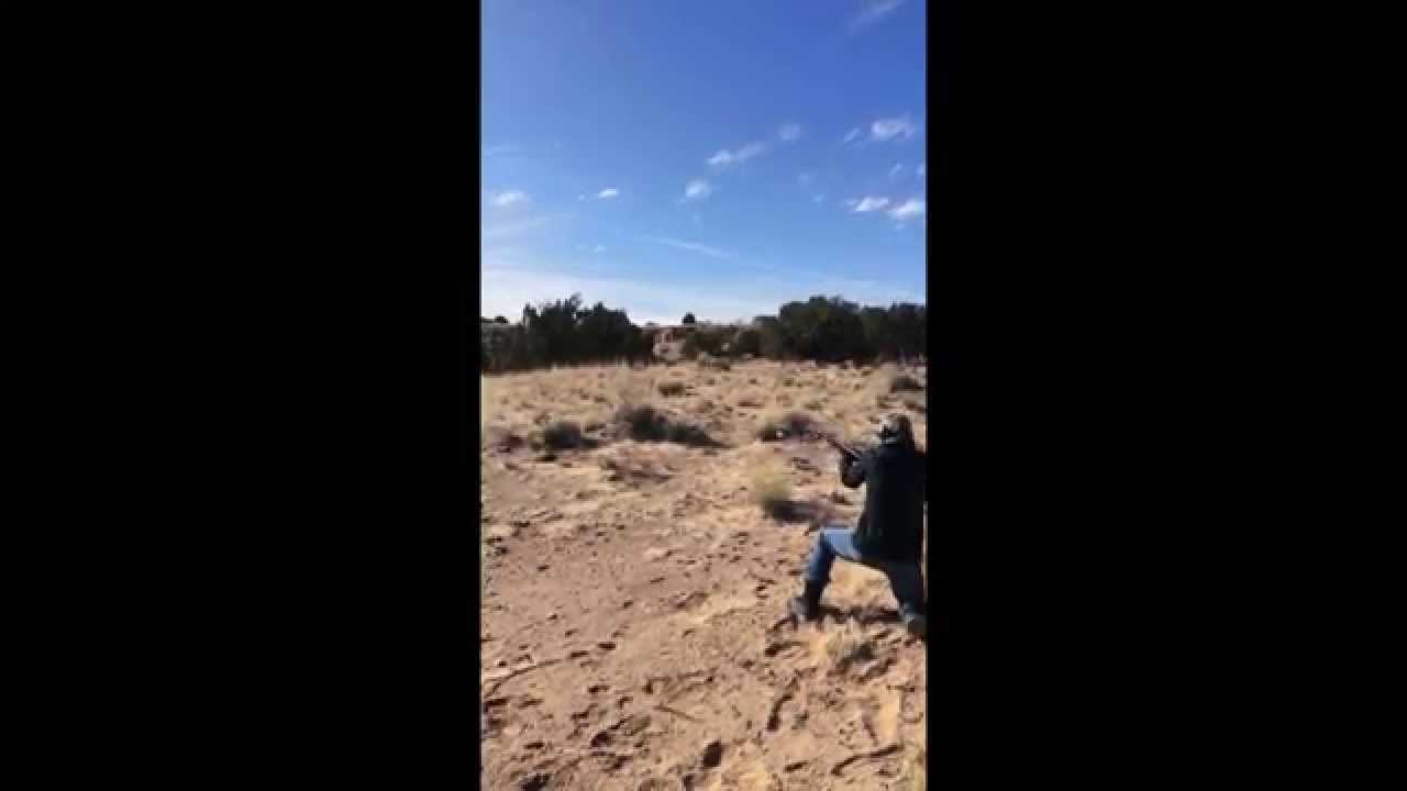 Shotgun: Running Target Practice