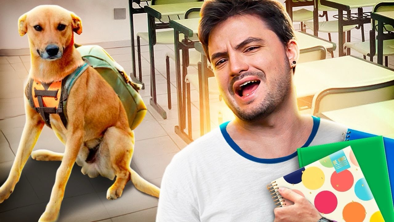 ISSO SÓ ACONTECE NA ESCOLA BRASILEIRA