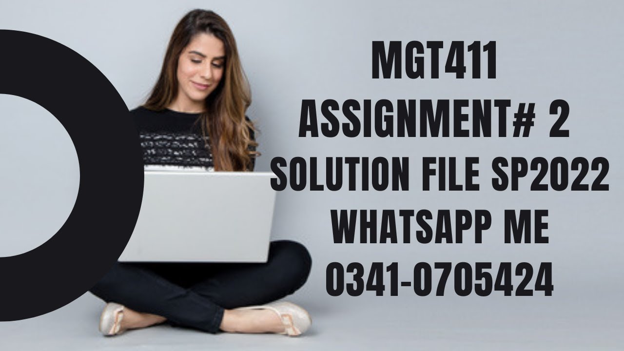MGT411 assignment 2 solution mgt 411