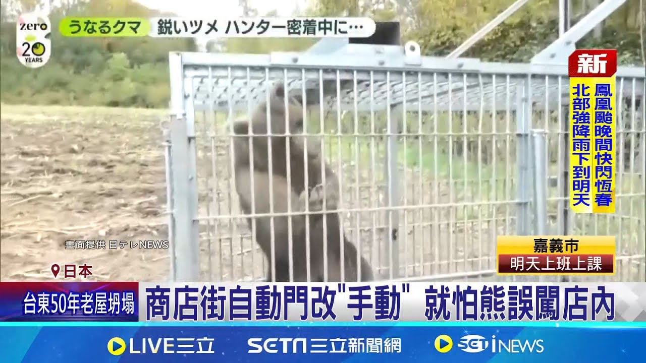 日防熊商品熱賣 熊噴霧.捕獸籠大缺貨 地方林務單位隨時通報 校園加強防熊戒備│記者 劉如穎│國際焦點20251112│三立新聞台