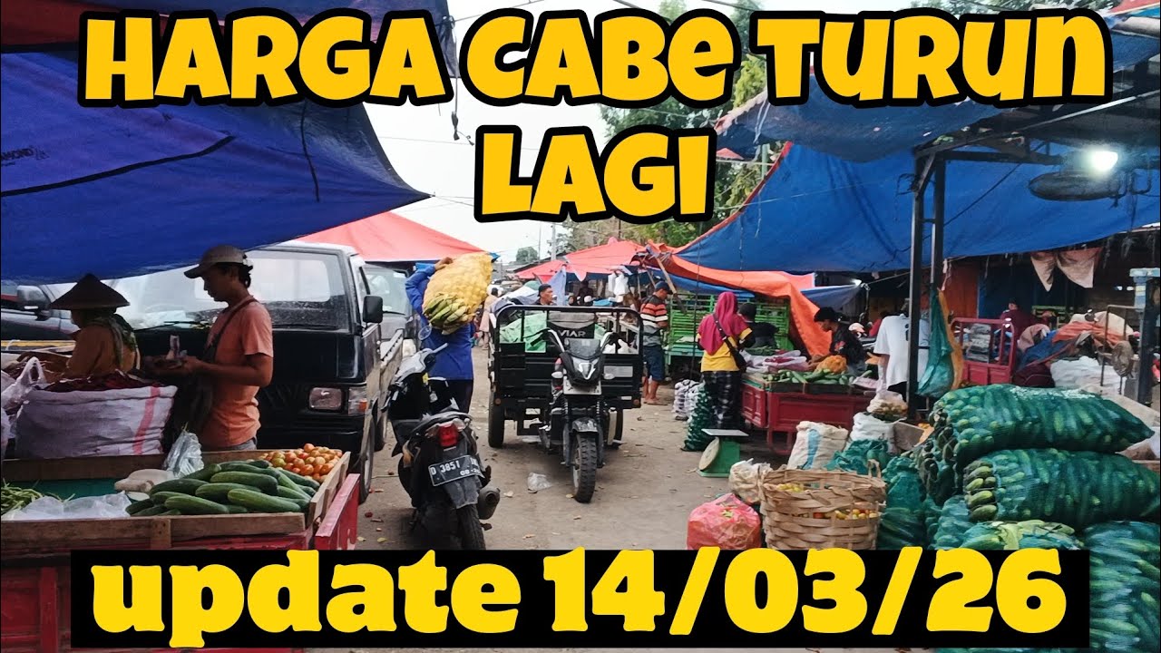 Harga cabe turun hari ini update harga terbaru sayuran pasar grosir ngronggo kota kediri 14/03/26