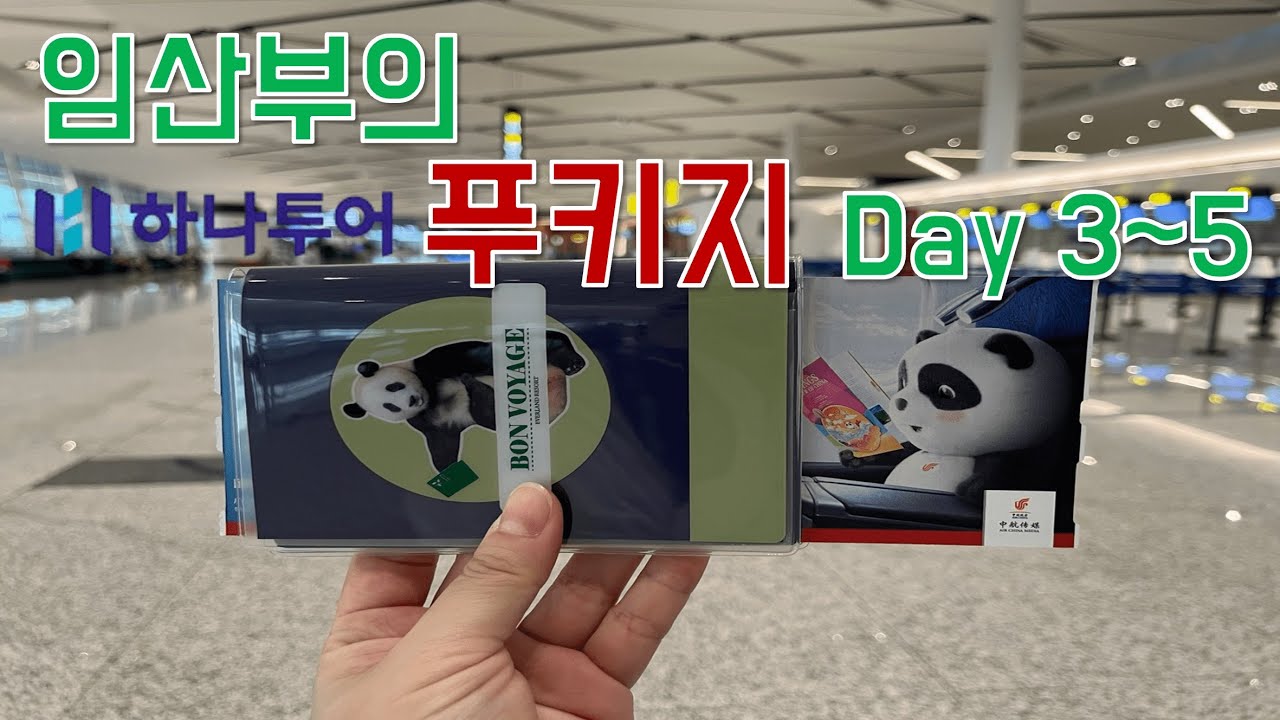 [4K] 태교여행으로 푸바오 보러가기 Day 3~5 / 선수핑기지 / 푸바오 / 하나투어 패키지