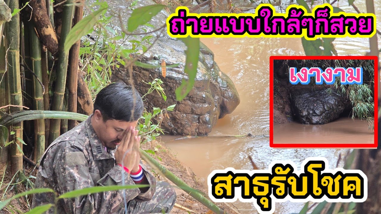 มาดูหินงูยักษ์แบบใกล้ๆ สวยเงางามมาก สาธุ วันนี้ได้โชค🙏🙏 #เขาค้อเพชรบูรณ์ #พิษณุโลก 