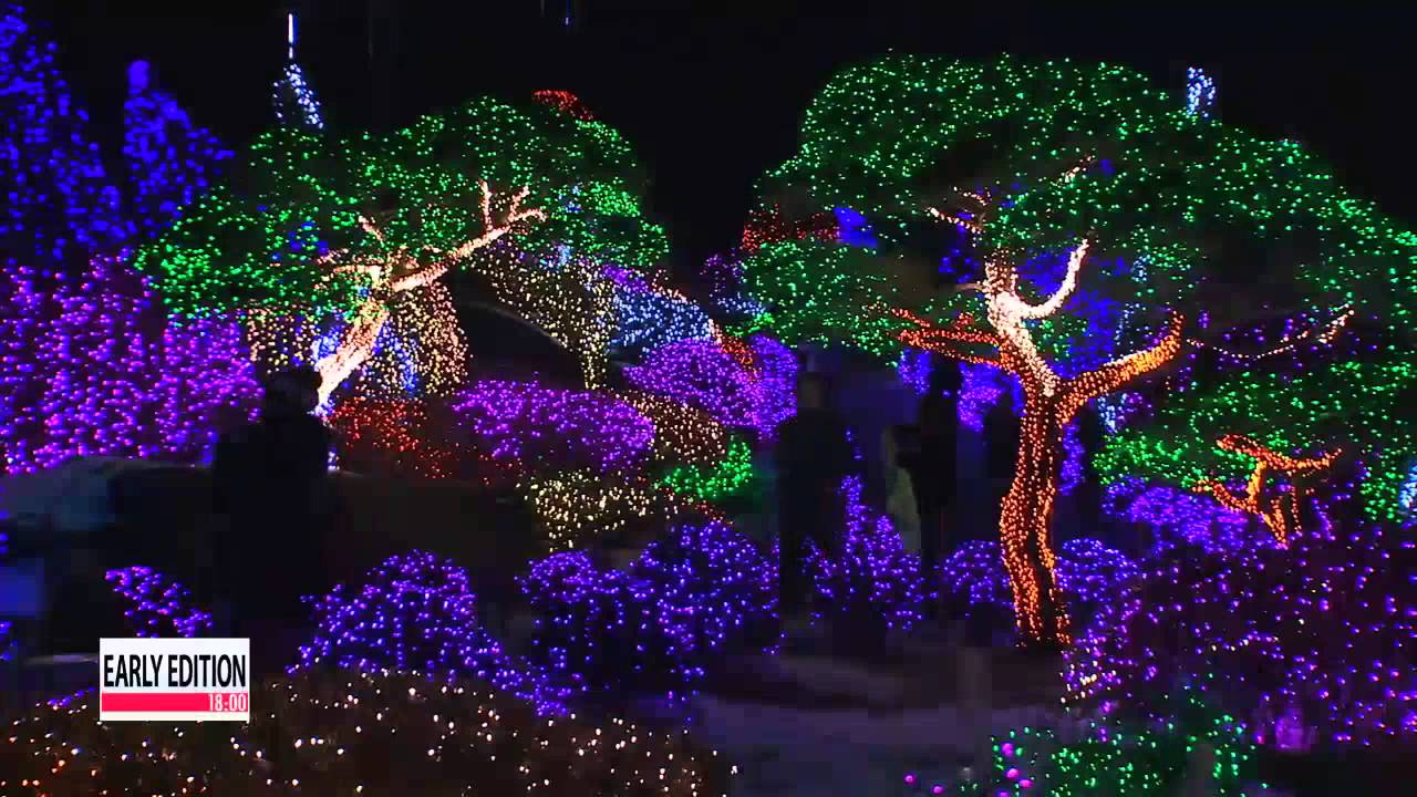 Five Color Starlight Garden Exhibition
