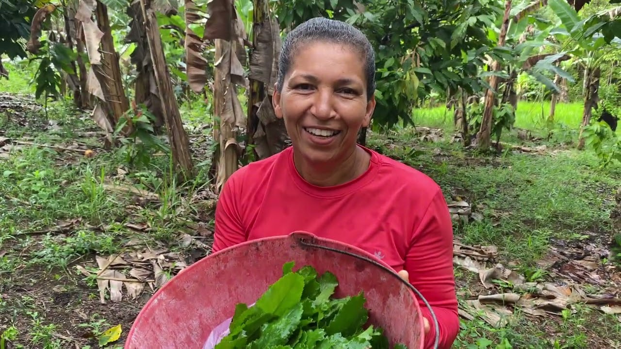 Dia de colheita no sítio. Vamos vender na feira da cidade… #sítio #vidasimples