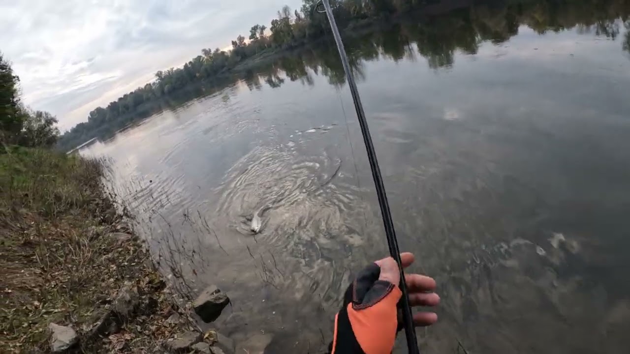 PREDATOR FISHING CROATIA- GLAVINJARA MRSHA RED HEAD