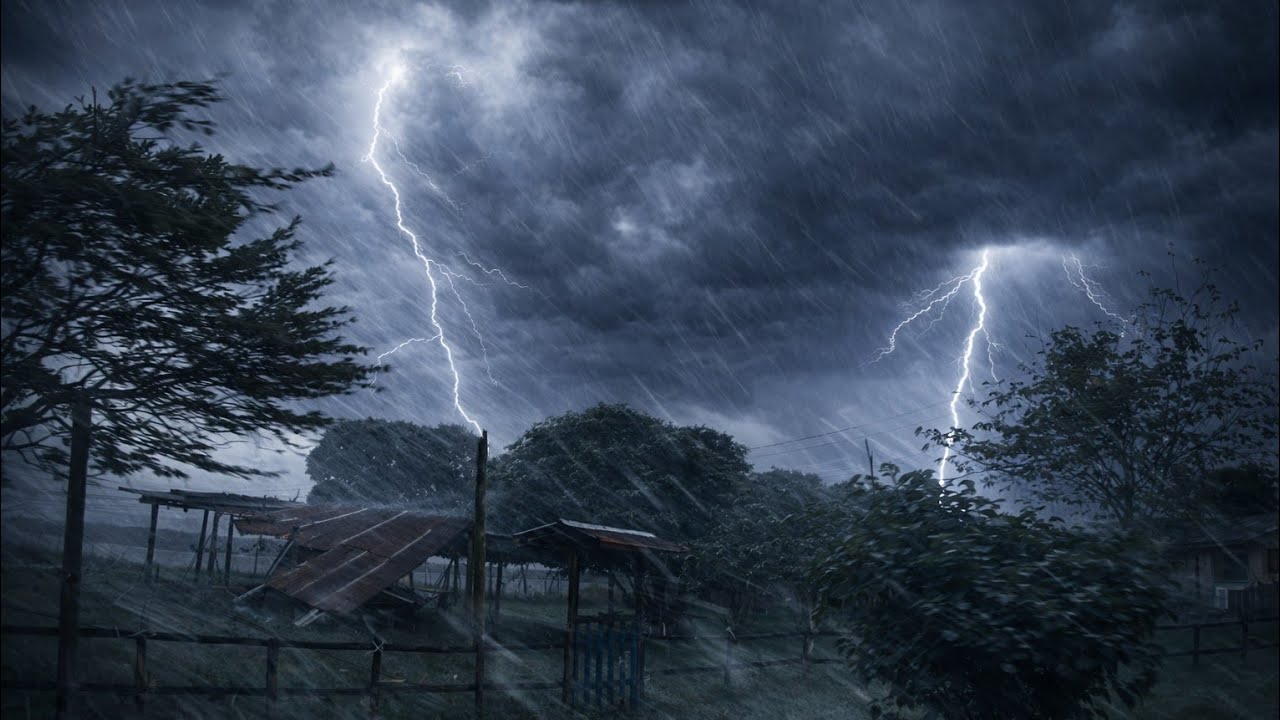 ACONTECEU UMA GRANDE TEMPESTADE AQUI NO SÍTIO -   E CAIU UMA ÁRVORE 