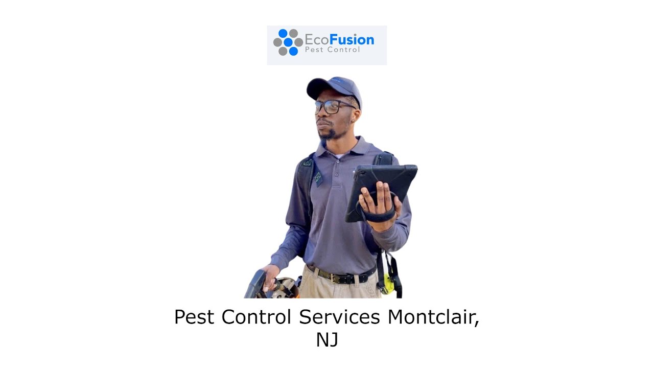 Pest Control Services Montclair, NJ - EcoFusion Pest Control