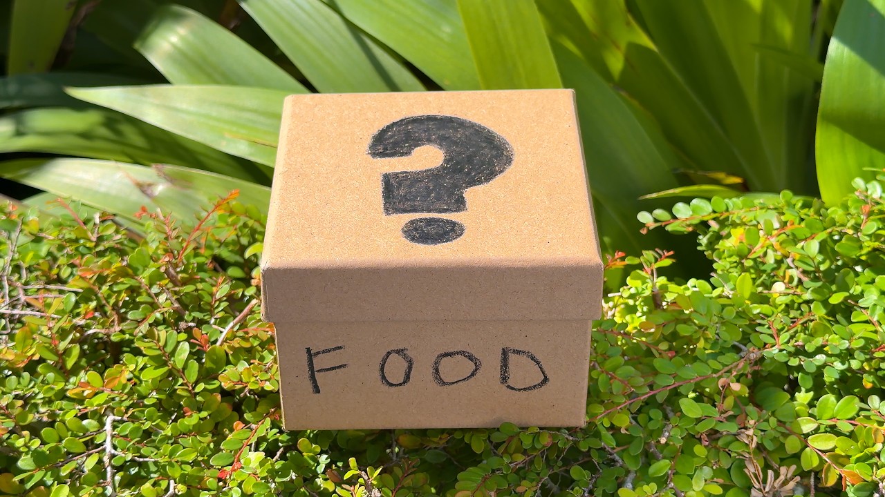 I Tried Food Mystery Box