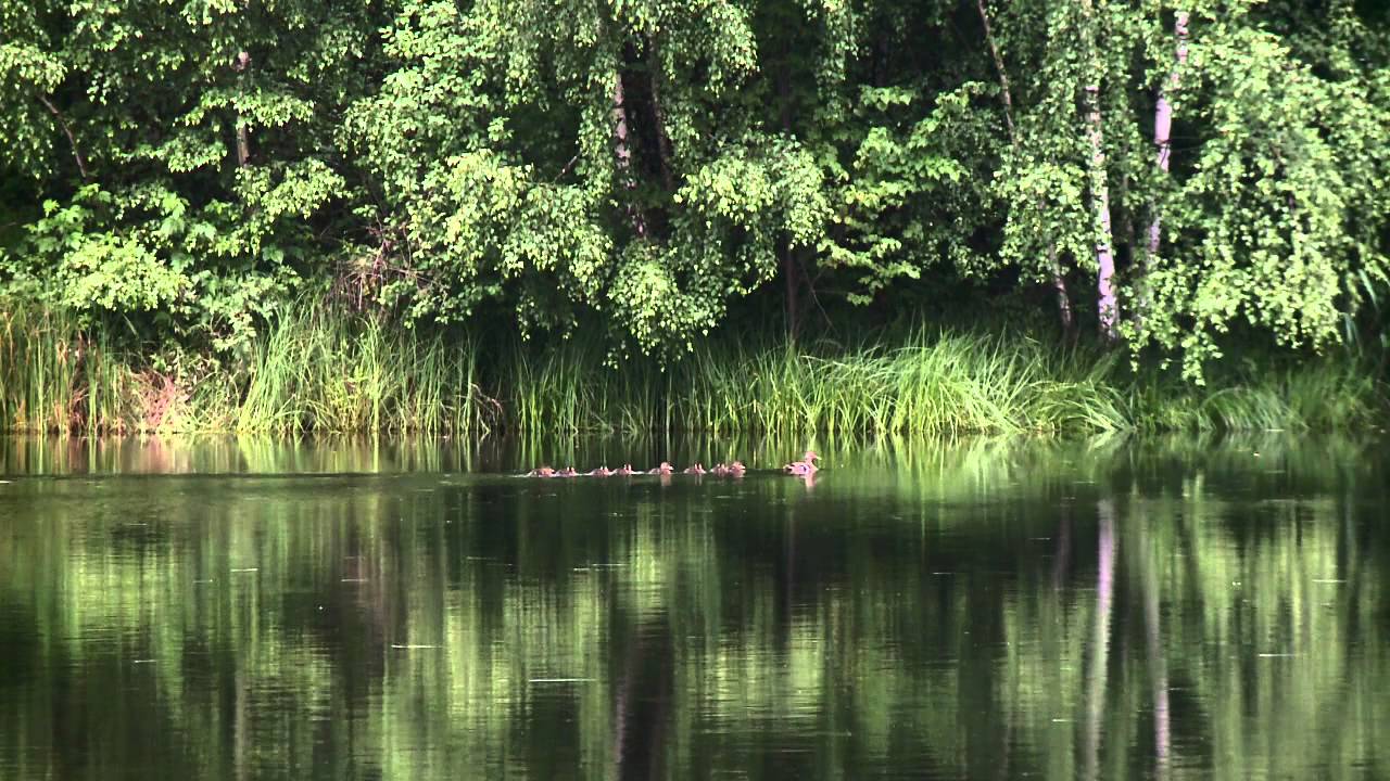 DZPK Rudawy Janowickie