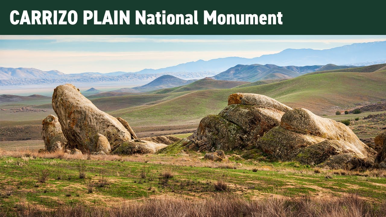A guide to Carrizo Plain National Monument