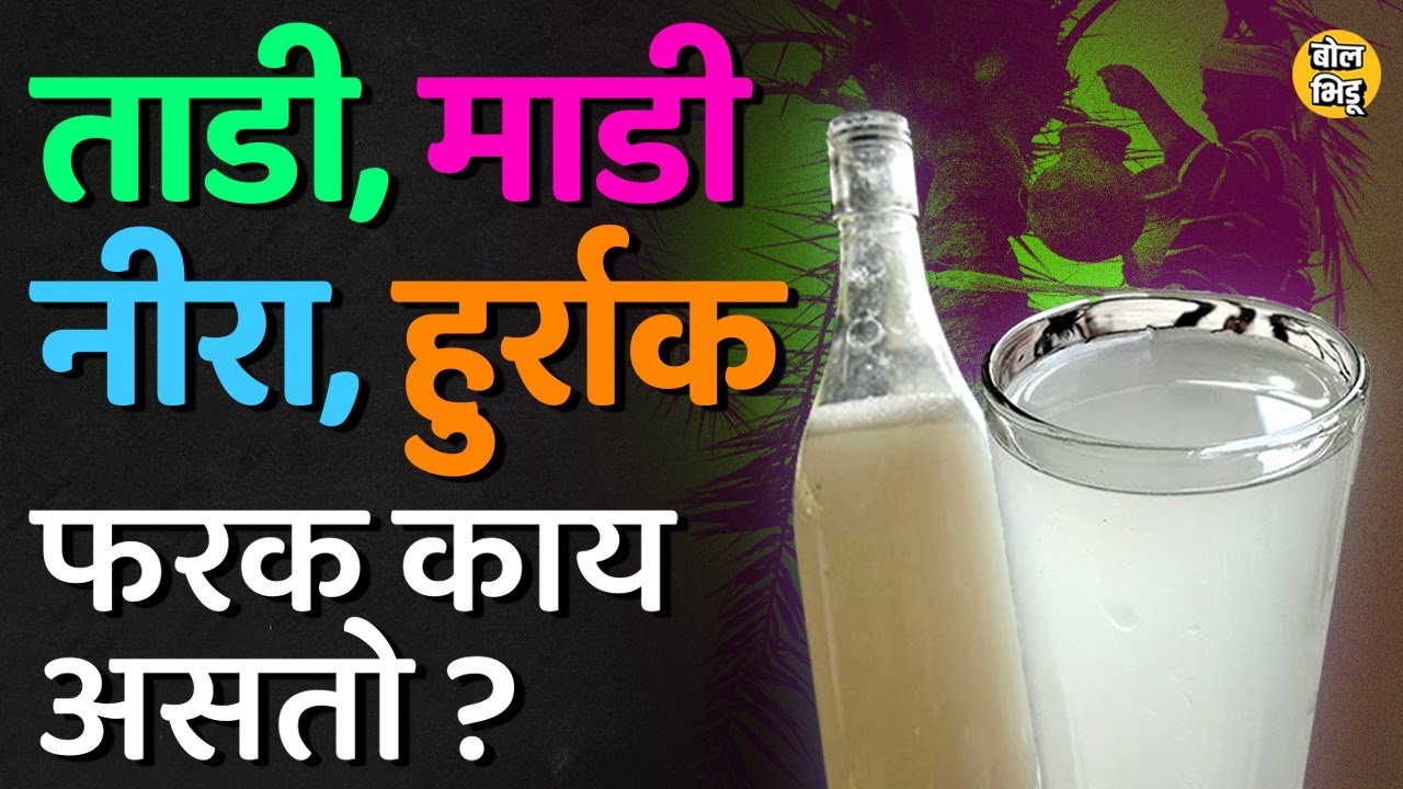 नीरा, ताडी, माडी, हुर्राक या सगळ्या पेयांमध्ये नेमका काय फरक असतो ? हे दारूचे प्रकार आहेत का ? #Nira
