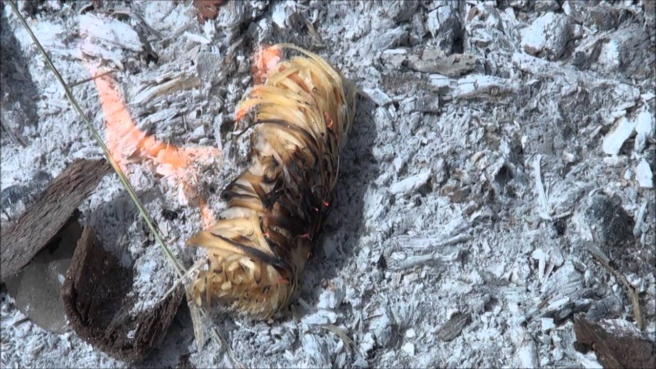 The Exotac Polystriker XL, the Exotac Fatwood Tin and Samba Firelighters
