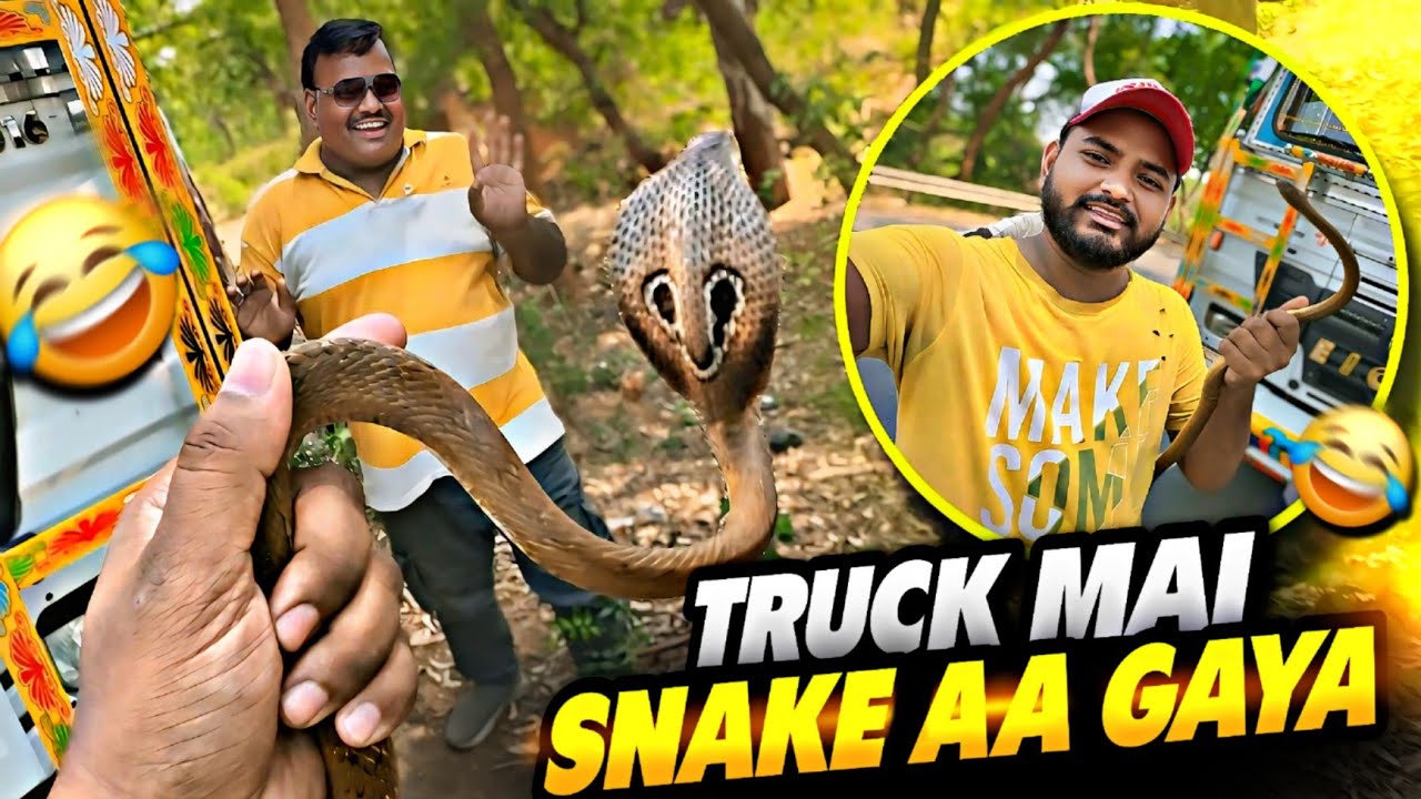 Hamare Truck Mai Snake Aa Gaya 😂 || Papa Tho Aaj Buri Tarah Dar Gaye || #vlog