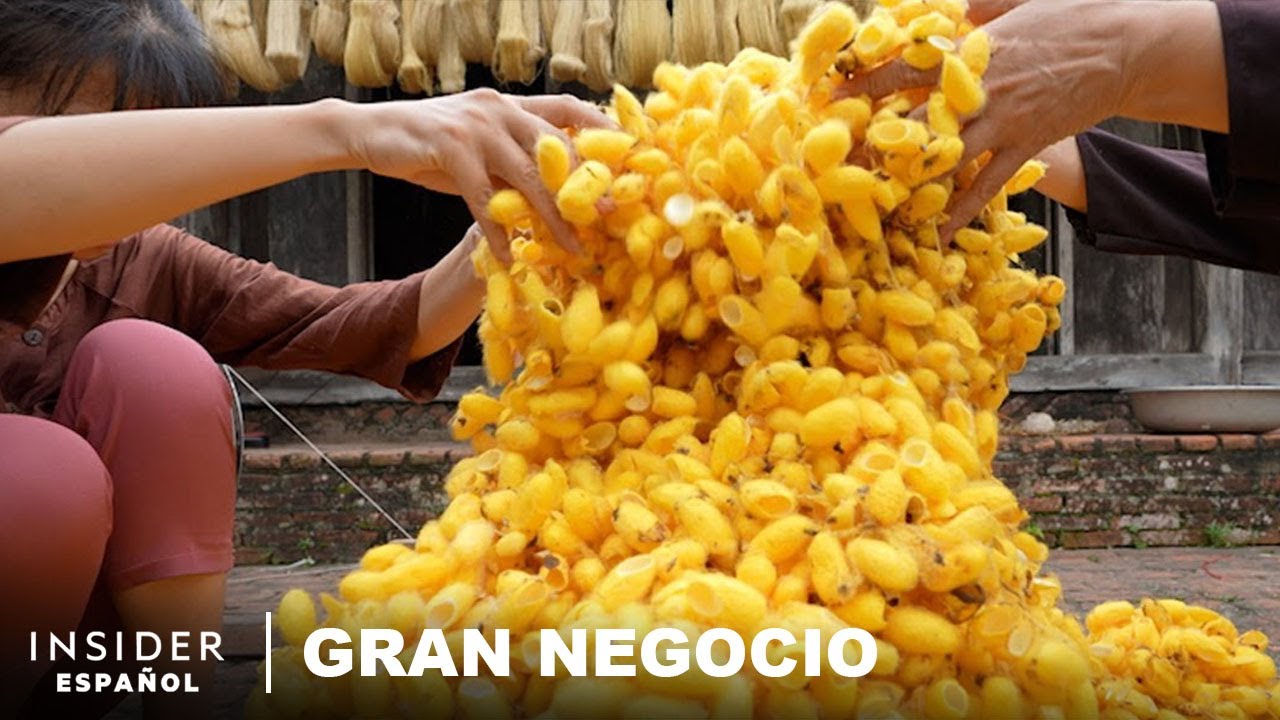 Cómo las montañas de capullos de gusanos se transforman en seda cara en Vietnam | Gran negocio
