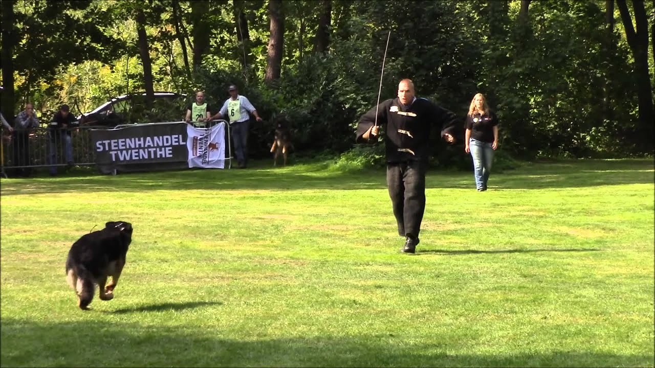 Duitse Herder Oefendag 12 September 2015 HDC Riessen