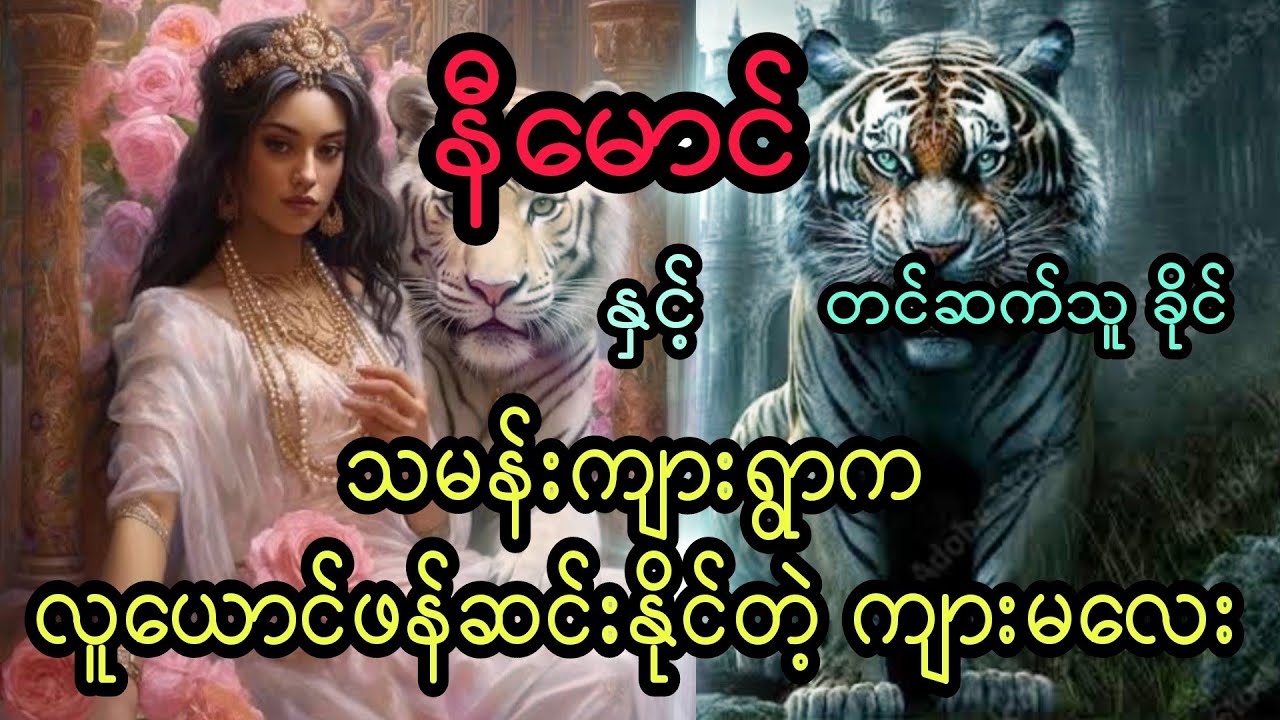 နီမောင် နှင့် သမန်းကျားရွာက လူယောင်ဖန်ဆင်းနိုင်တဲ့ ကျားမလေး ( အစအဆုံး)