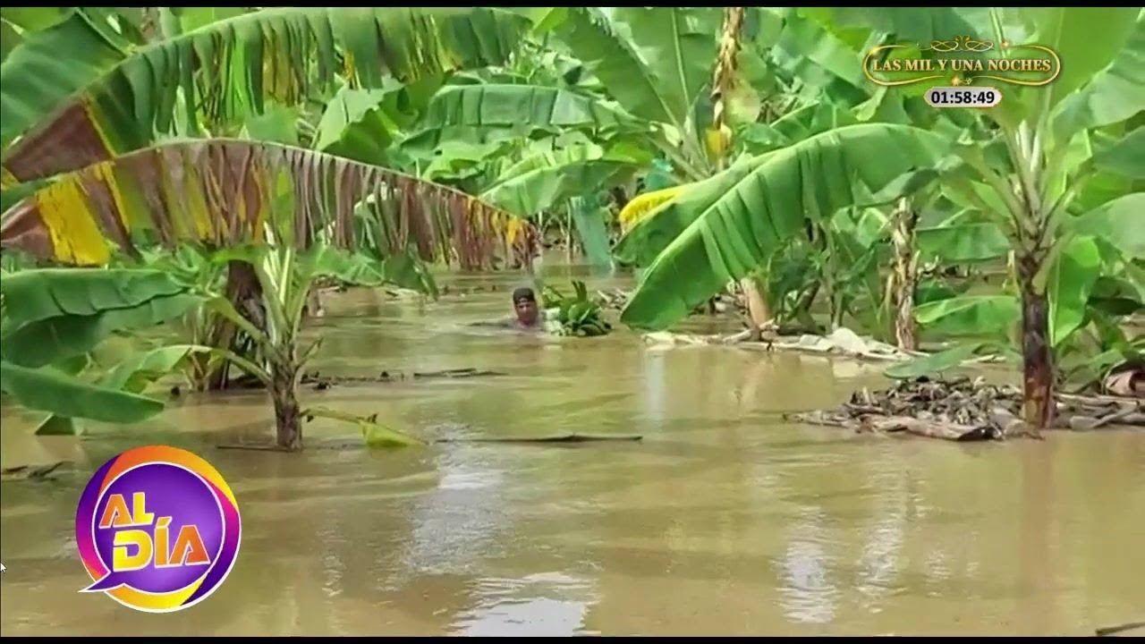 Pobladores de Tumbes con el agua hasta el cuello por intensas lluvias