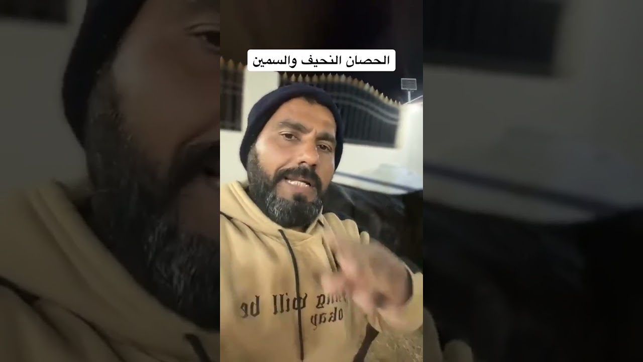الفرق بين الخيل النحفي والسمين