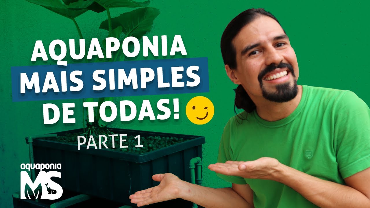 Como fazer uma aquaponia do jeito mais simples de todos - PARTE 1