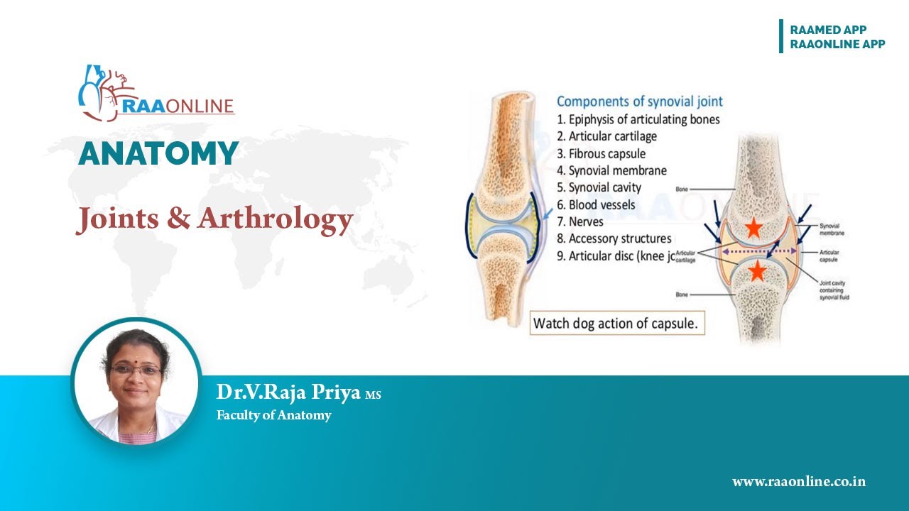 Joints and Arthrology