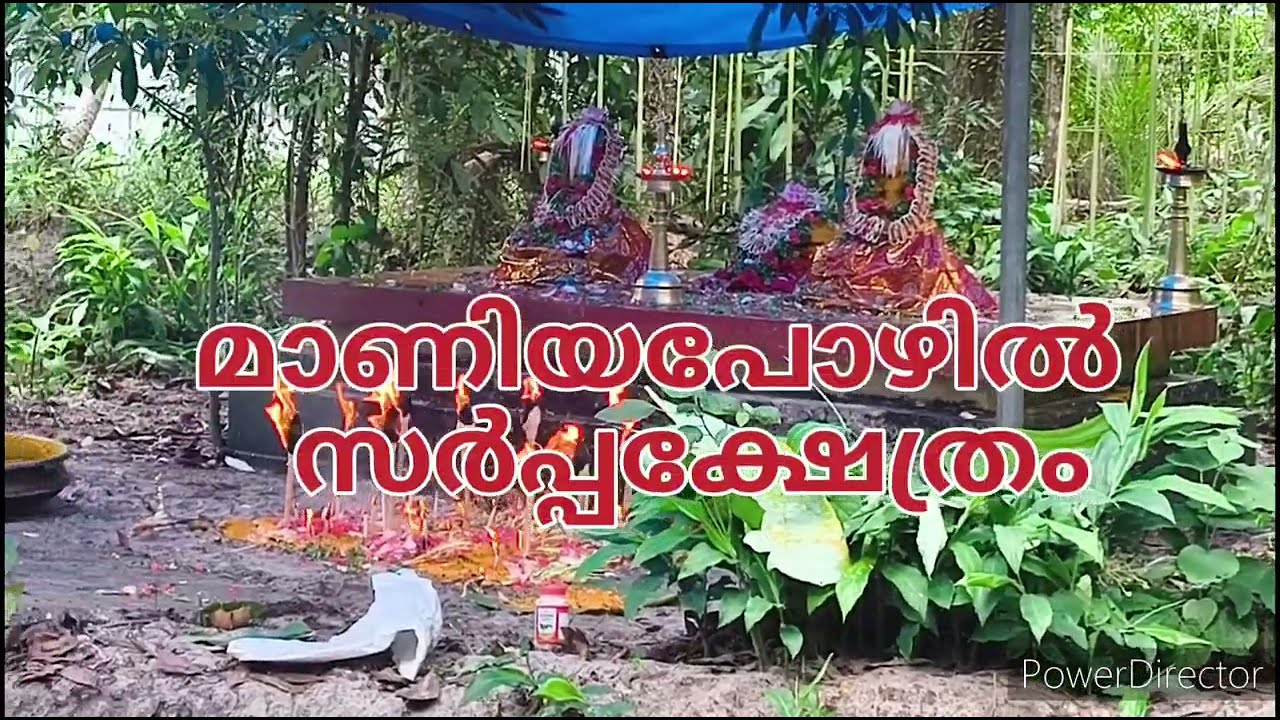 സർപ്പം തുള്ളൽ, സർപ്പം പാട്ട്. 22.05.2024..മാണിയപോഴിൽ സർപ്പക്ഷേത്രം..മാരാരിക്കുളം.