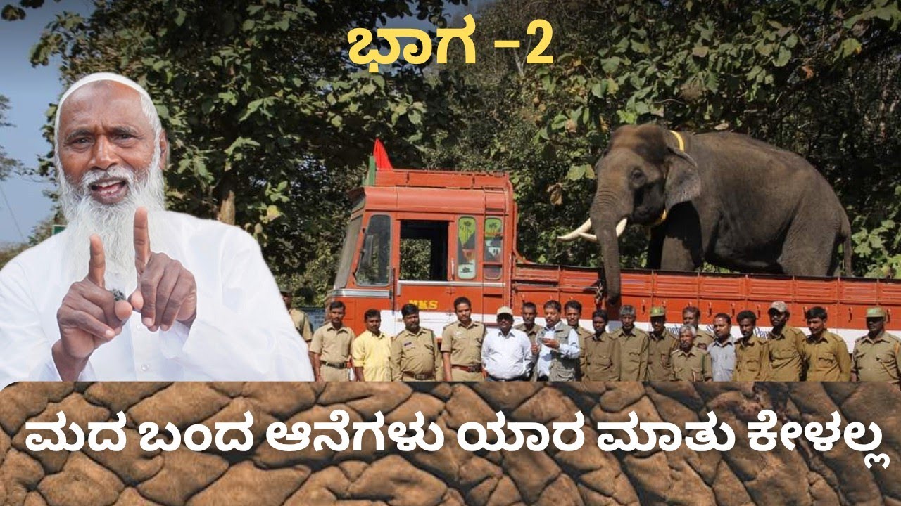 ಆನೆ ಕೆಲಸ ನೀವು ಅಂದುಕೊಂಡಷ್ಟು ಸುಲಭ ಅಲ್ಲ !  | History of Sakrebylu Elephant Training Camp