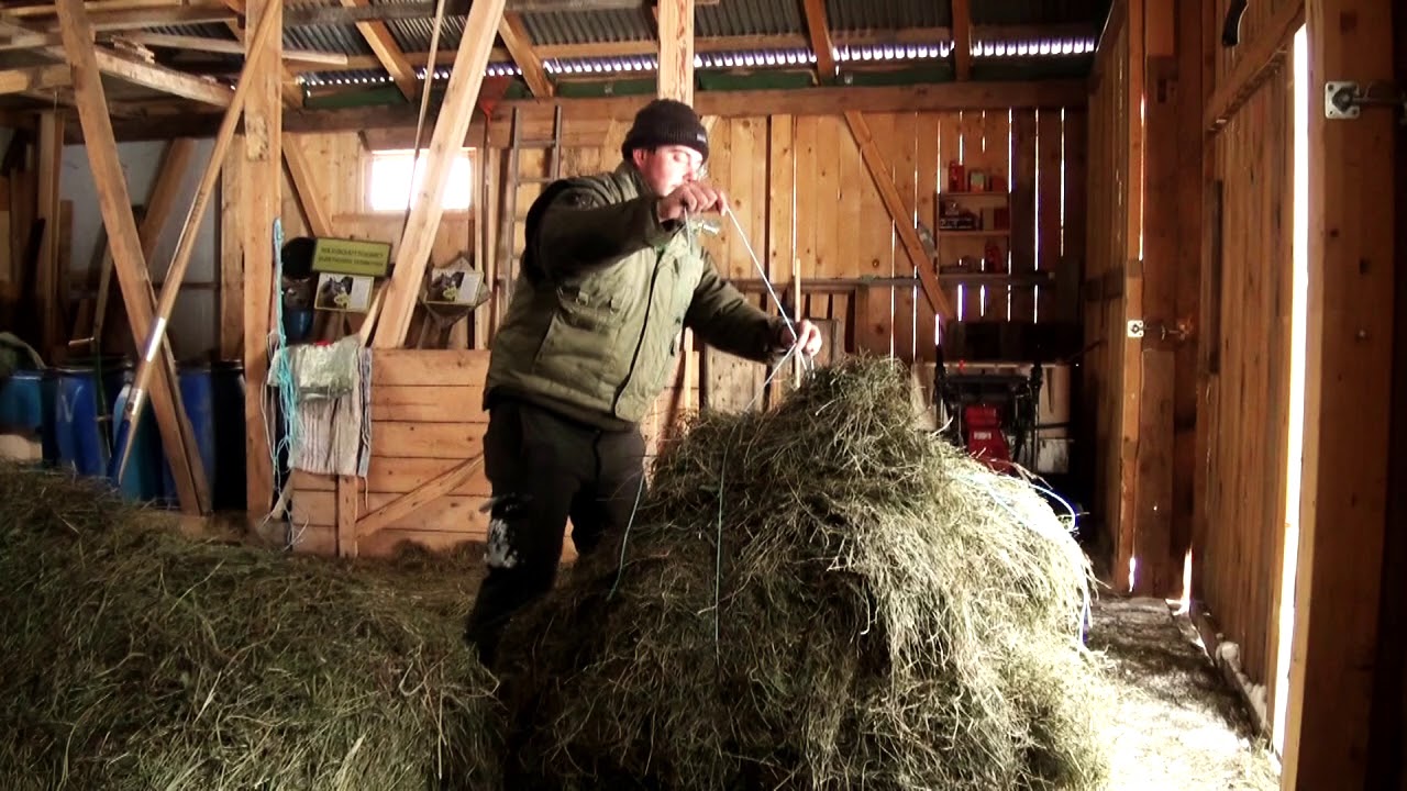 Jagdfakten.at Spezial: Wildfütterung, Teil 2
