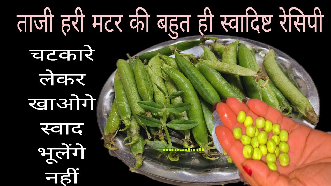 गारंटी है पेट भरेगा लेकिन मन नहीं हरी मटर की बहुत ही स्वादिष्ट रेसिपी l mesaheli l matar ki recipe 
