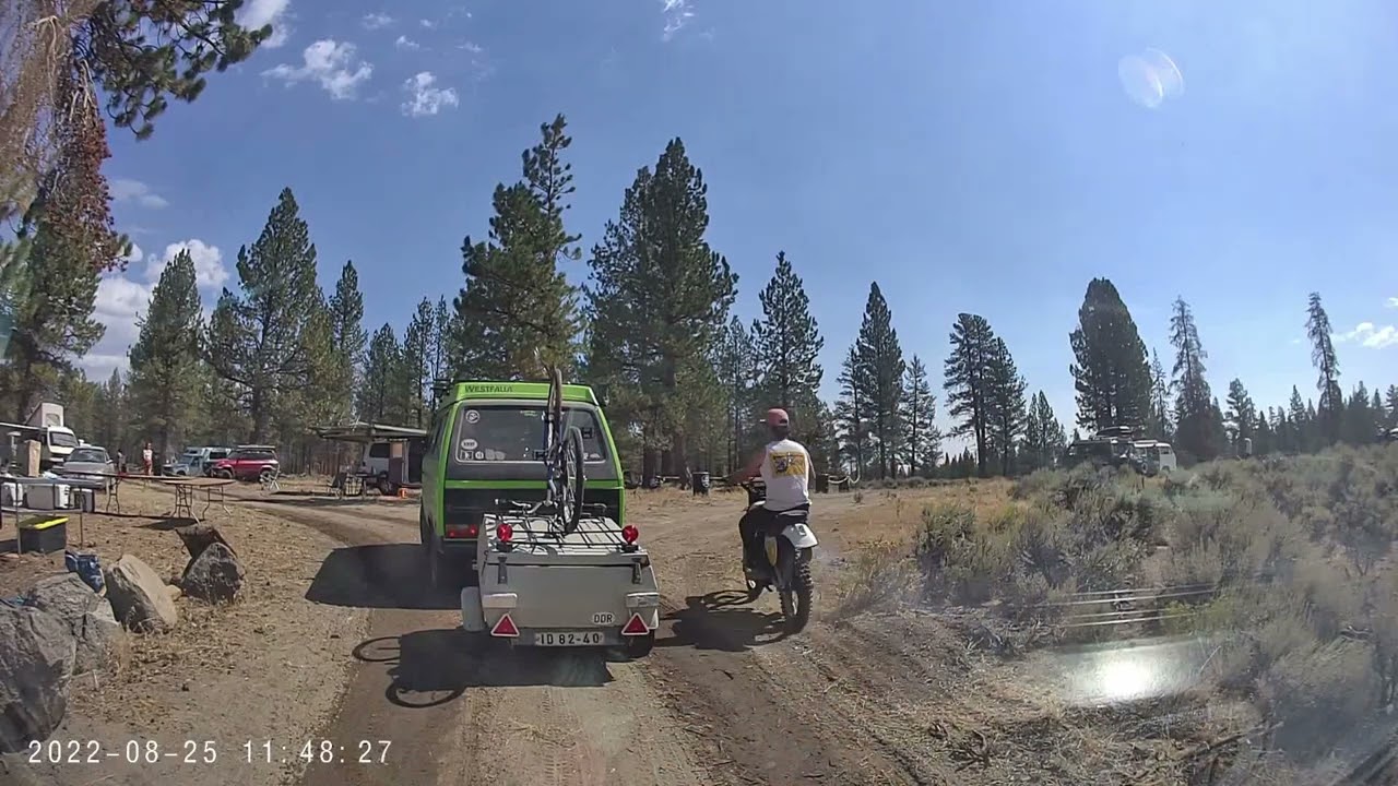 Descend on Bend 2022 - VW Camp aka Tree Of Dub