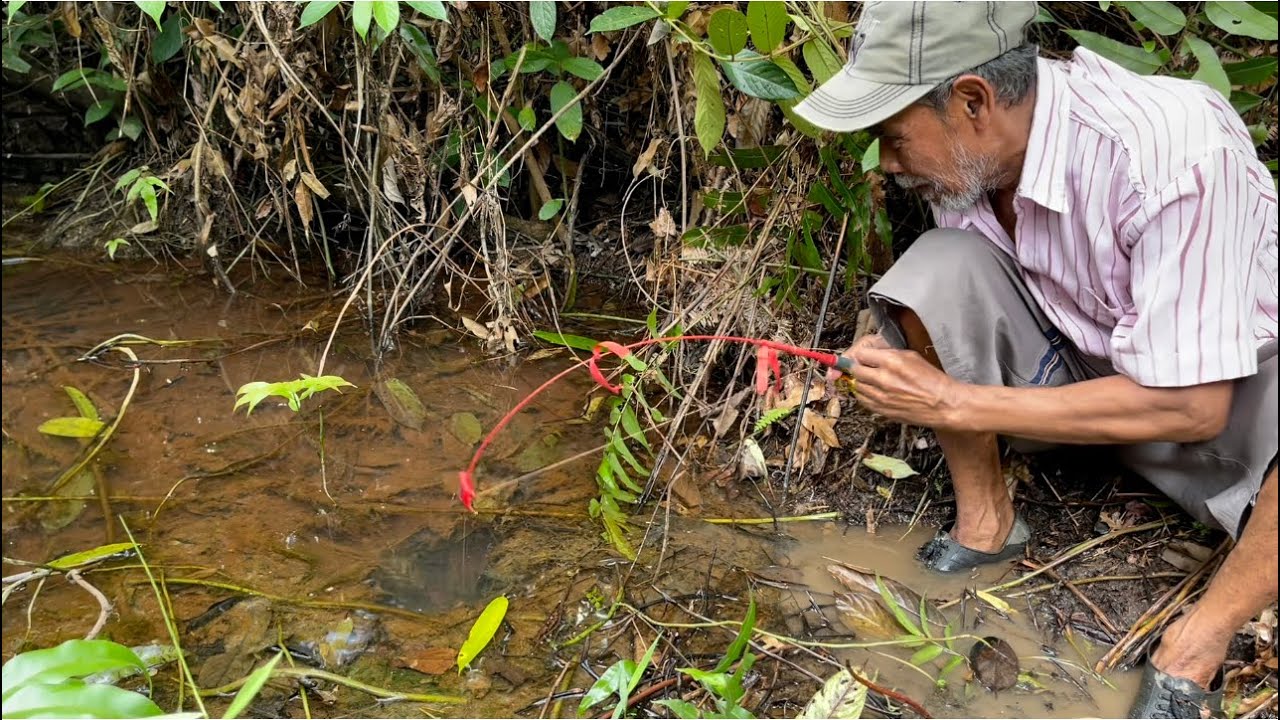 MANCING MONSTER DALAM TANAH YANG MEMBUAT JUTAAN MATA TERKESIMA…
