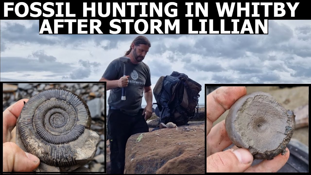 #fossilhunting in WHITBY after STORM LILLIAN