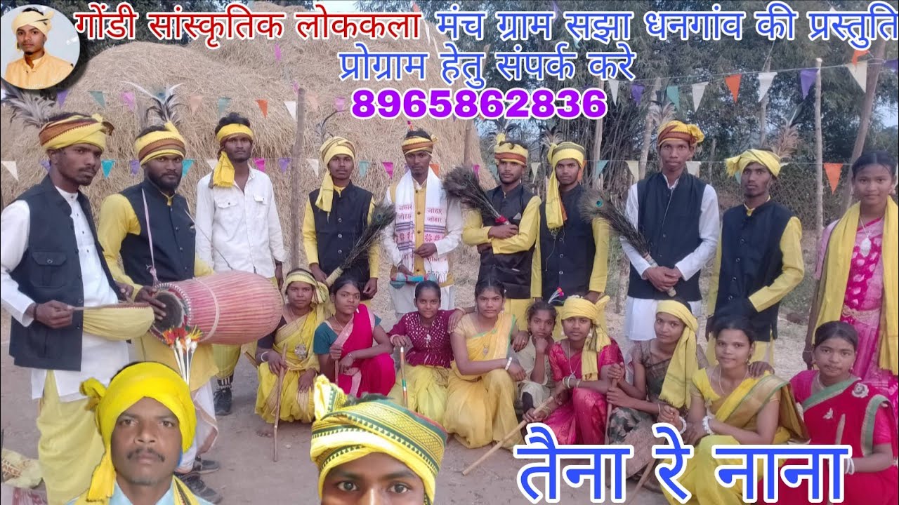 तैना रे नाना मोर नावल नाना सैला गीत। gayak ramkumar chicham ग्राम सझा धनगाँव माल की प्रस्तुति।। 