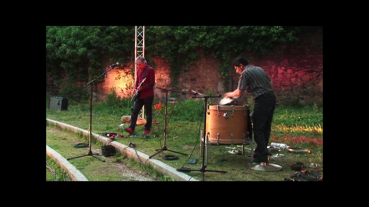 Lee Ranaldo - Concert in the Garden of the Fondation Cartier - 2010
