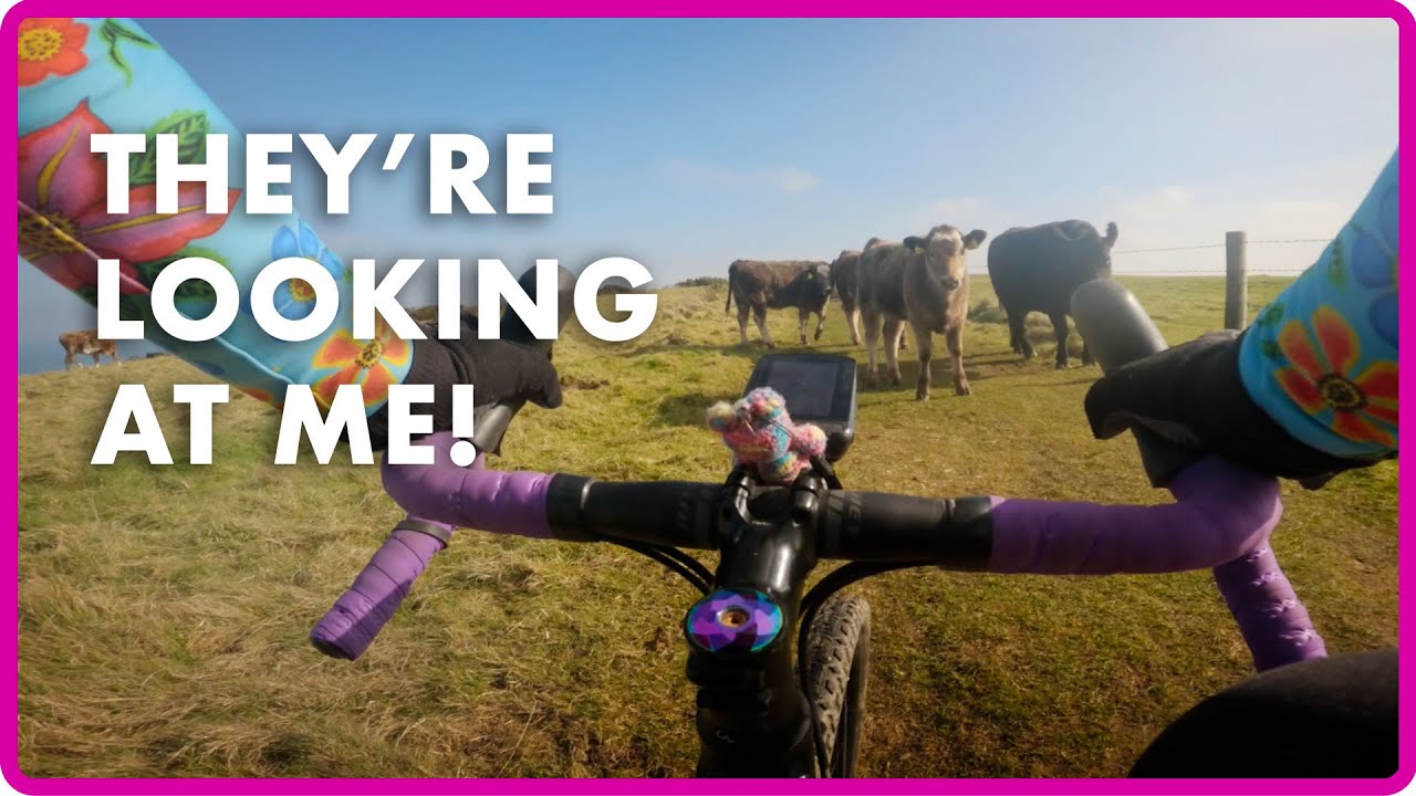 We Are So Lucky To Have This On Our Doorstep! - Sonder Camino Adventure Bike - A Purbeck Gravel Ride