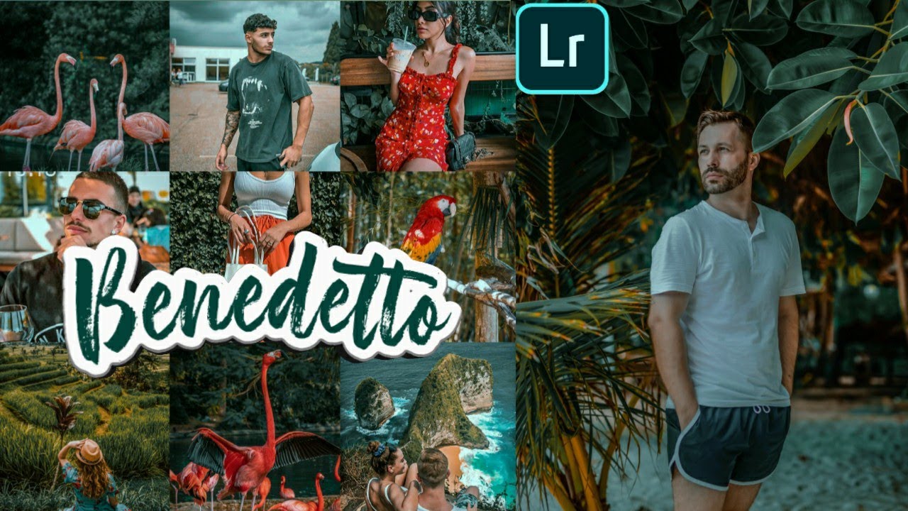 Lightroom Mobile Presets Free DNG | How To Edit Moody Green Preset Tutorial |BENEDETTO (2019)