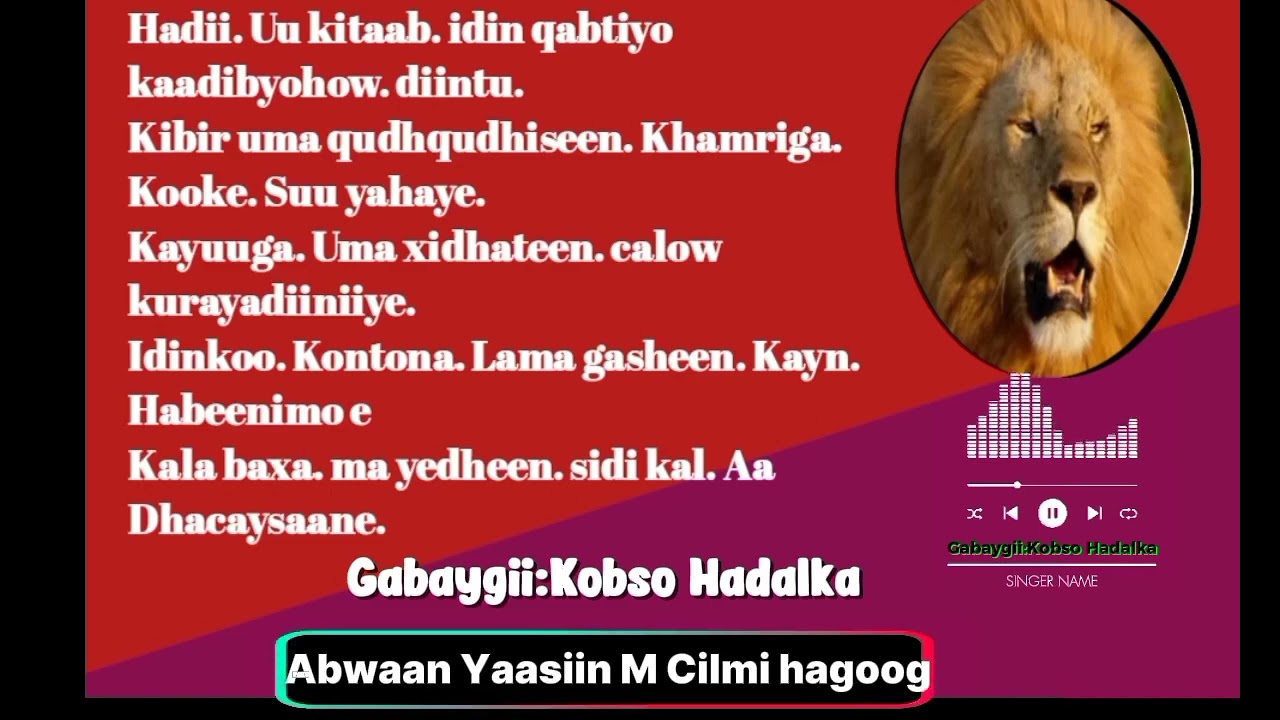 GABaygii kobso Hadalka oo jawaab u ah gabay usootiriyey abwaan cali cawil uutiriyey abwaan yaasiin 